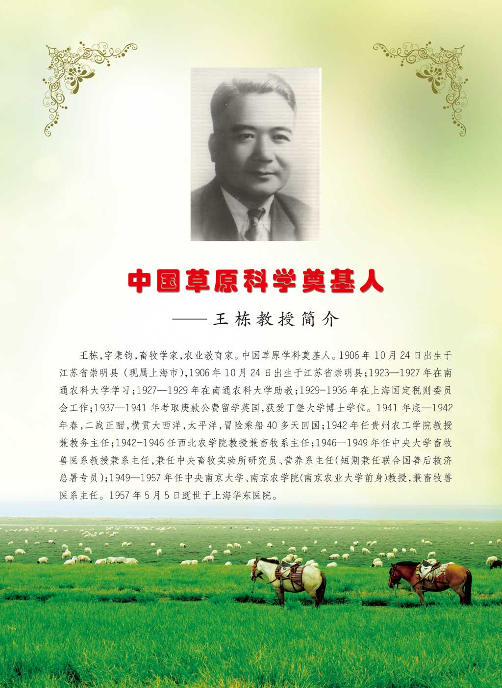 王栋.jpg