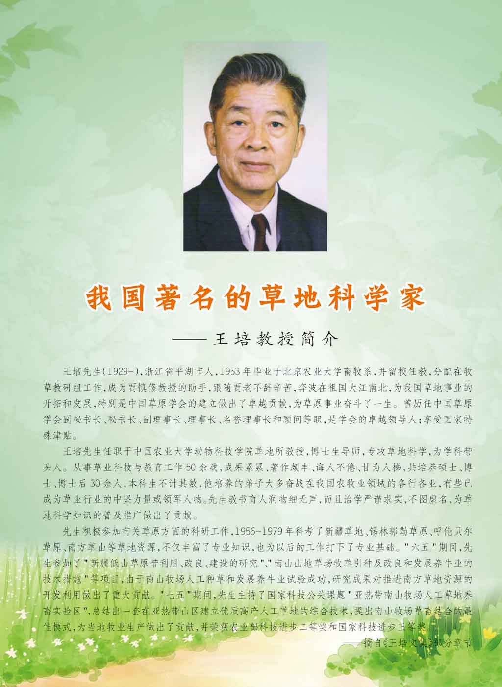 王培.jpg